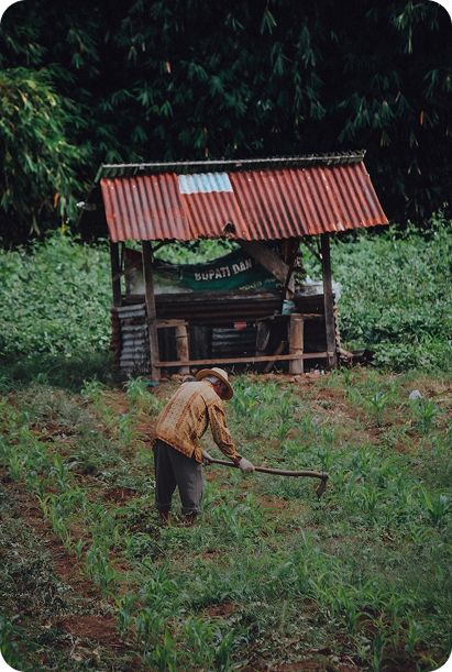 Small rural shop in a green field